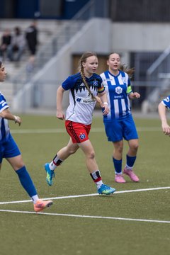 Bild 78 - wBJ Hamburger SV - FC Suederelbe : Ergebnis: 9:0